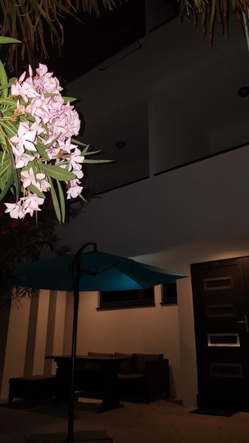Apartments Star With Pool Biograd Na Moru Ngoại thất bức ảnh