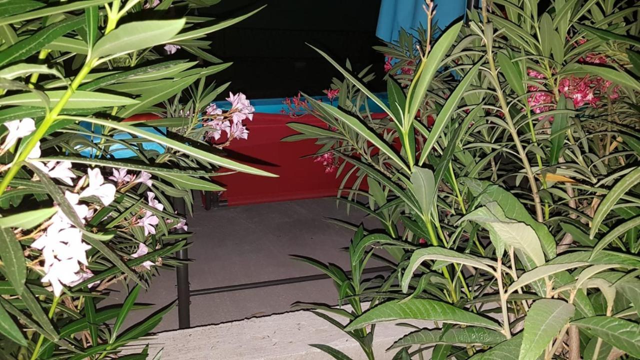 Apartments Star With Pool Biograd Na Moru Ngoại thất bức ảnh