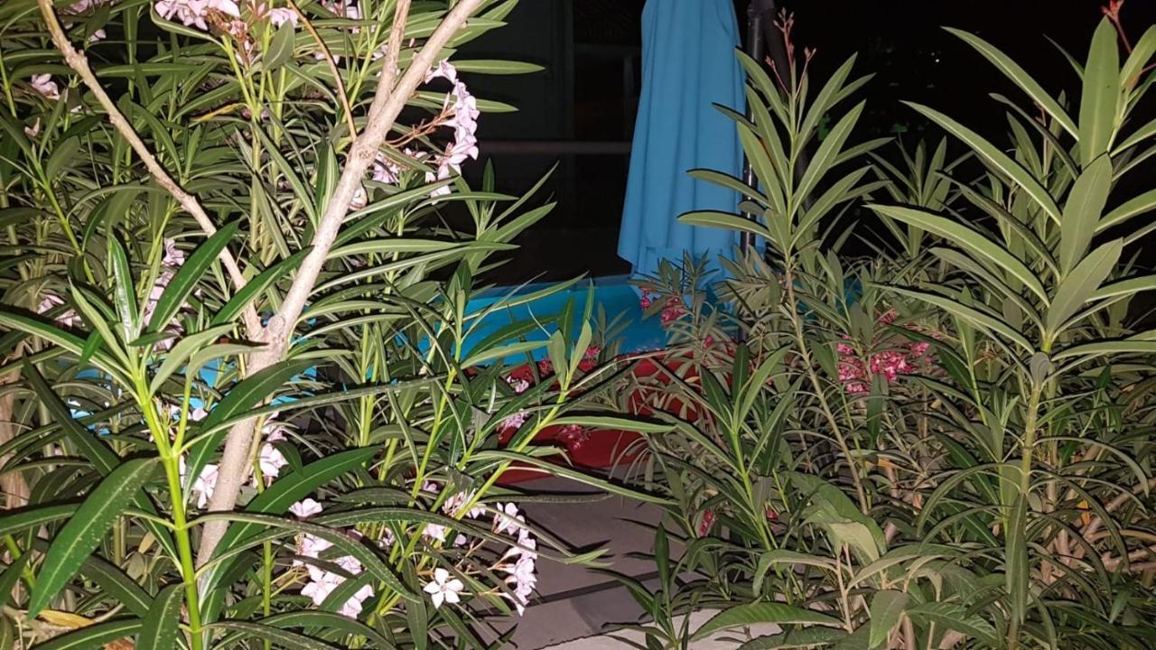 Apartments Star With Pool Biograd Na Moru Ngoại thất bức ảnh